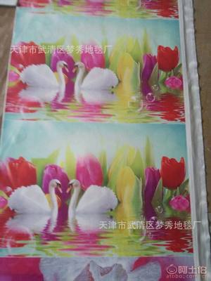 【梦秀地毯厂厂家3D印染立体地毯地垫客厅茶几卧室床边毯进门地垫可定制T88】天津市武清区梦秀地毯厂 - 产品库