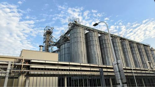 打卡世界啤酒之城莆田 探索全球啤酒工艺与文化