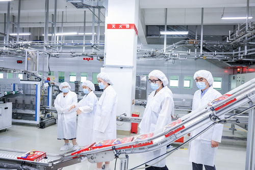 廊坊好丽友工厂开放日 探秘绿色生产，共享低碳未来